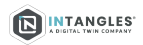 Intangles logo